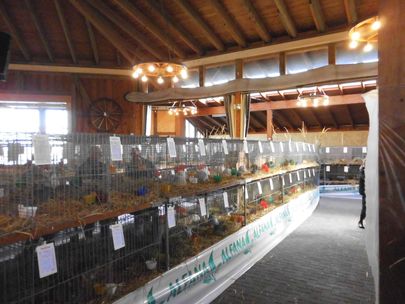 Ausstellungshalle